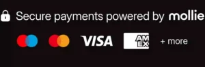 payment methods mollie, stripe, PayPal, montonio