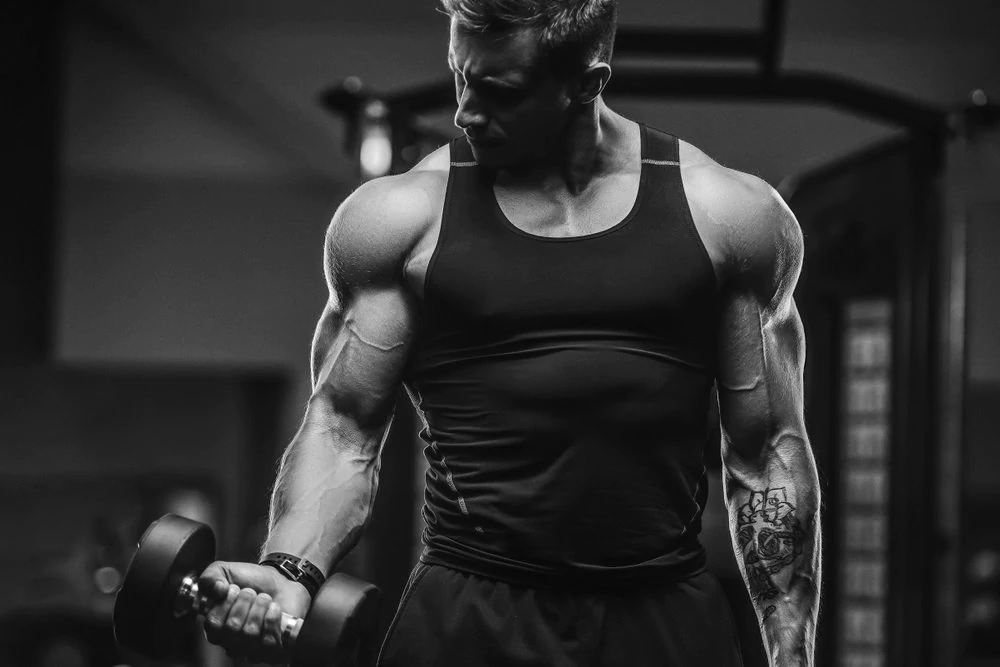 EPI-BOL – Performance Compound | Dedicated Nutrition | 60 Capsules - product photo 2, Natural Anabolics & Muscle Builders & SPORT.