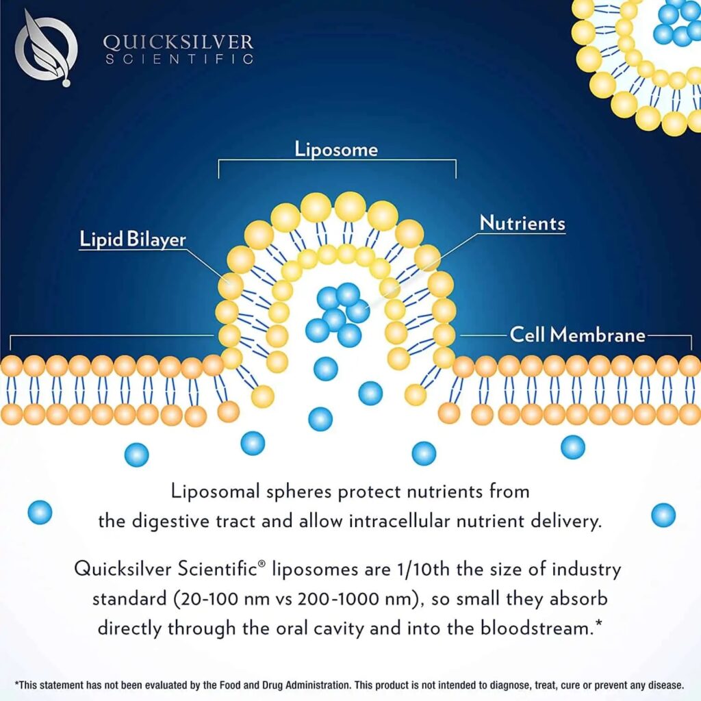 Liposomal Glutathione 500 mg – Enhanced Cellular Defense | OSAVI | 60 Capsules - product photo 1, LONGEVITY & NAD+ & Cellular Energy.