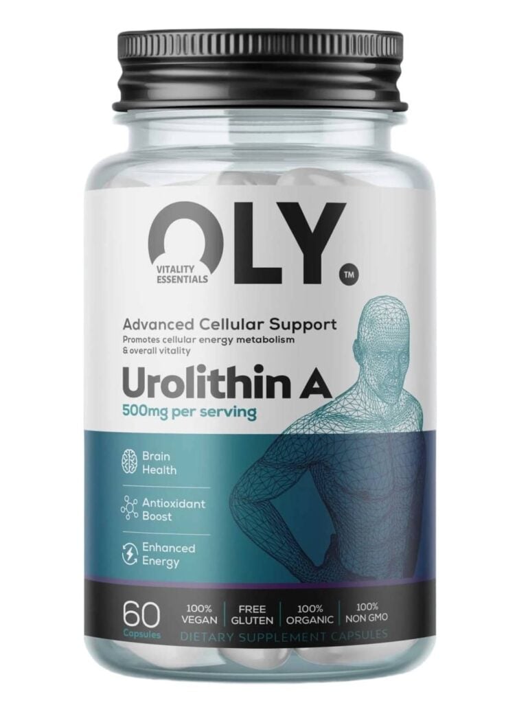 Urolithin A papildas 500mg – OLY, 60 kapsulių, mitochondrijų funkcijai