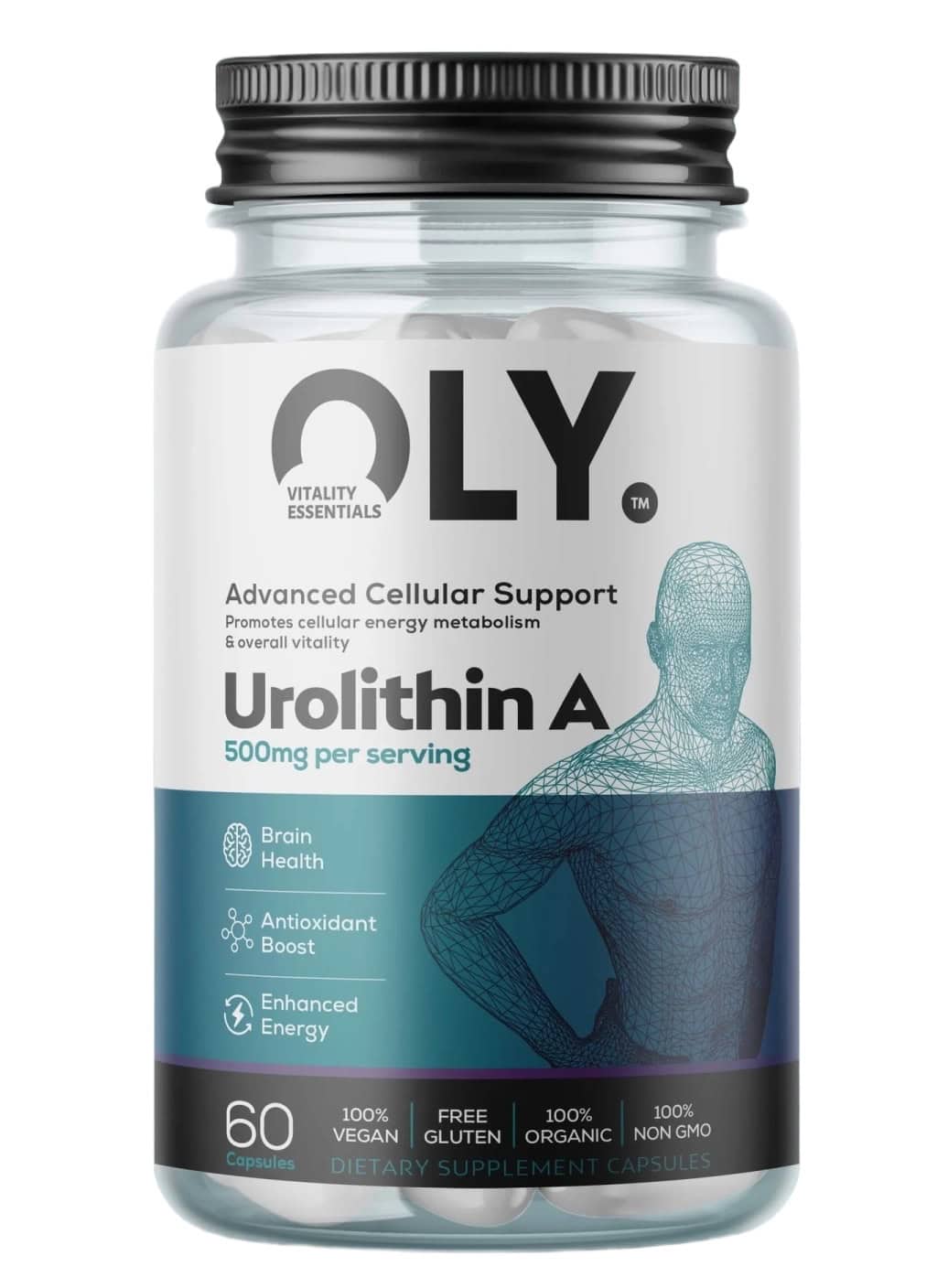Urolithin A 500mg – Advanced Mitochondrial Support | OLY | 60 Vcaps - Science-Backed Performance Urolithin A 500mg – Advanced Mitochondrial Support | OLY | 60 Vcaps | Clinical-Grade Longevity Protocol, Autophagy & Senolytics & LONGEVITY supplement.
