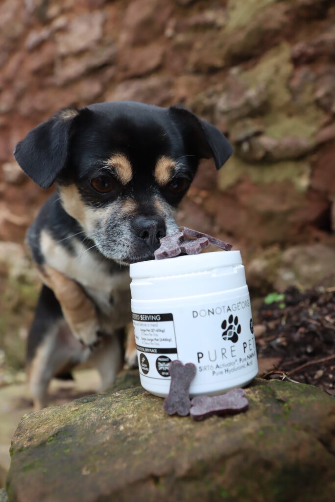 Pure Pet – Longevity & Health for Pets | DoNotAge | 30 Tablets - product photo 2, LONGEVITY & NAD+ & Cellular Energy.