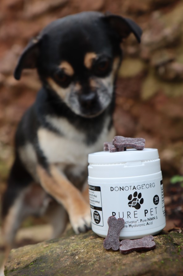 Pure Pet – Longevity & Health for Pets | DoNotAge | 30 Tablets - product photo 1, LONGEVITY & NAD+ & Cellular Energy.